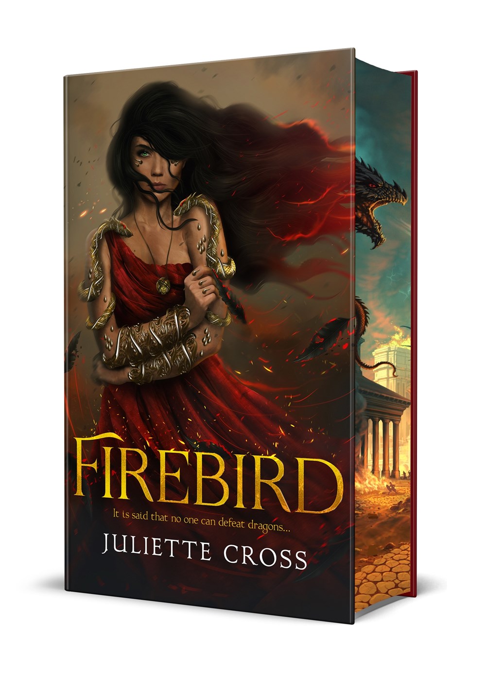 Firebird (The Fire That Binds #1)