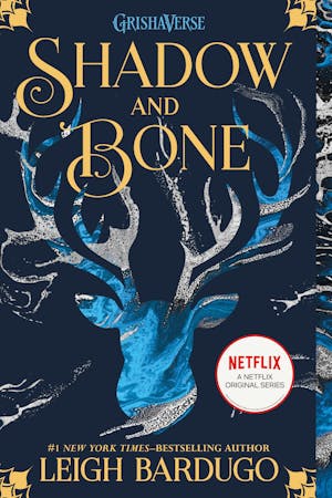 Shadow and Bone (#1)