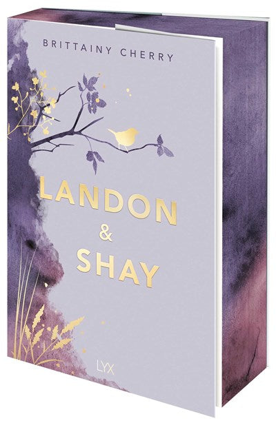Landon & Shay (Chances #2.1)