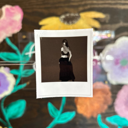 TTPD Polaroid Sticker