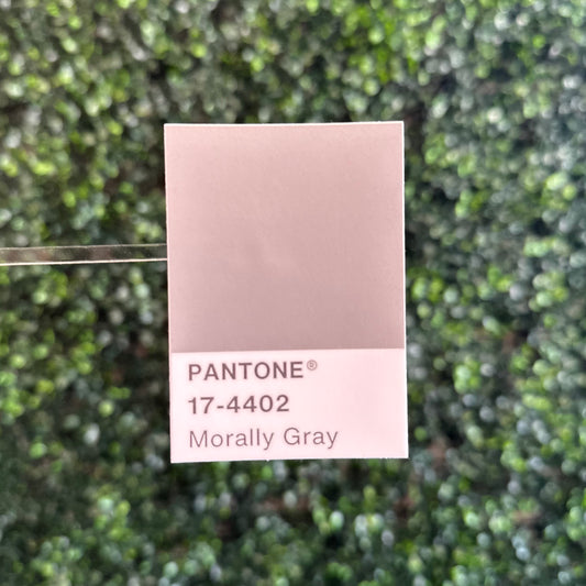 Pantone Morally Gray Sticker