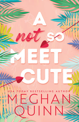 A Not So Meet Cute (Cane Brothers #1)