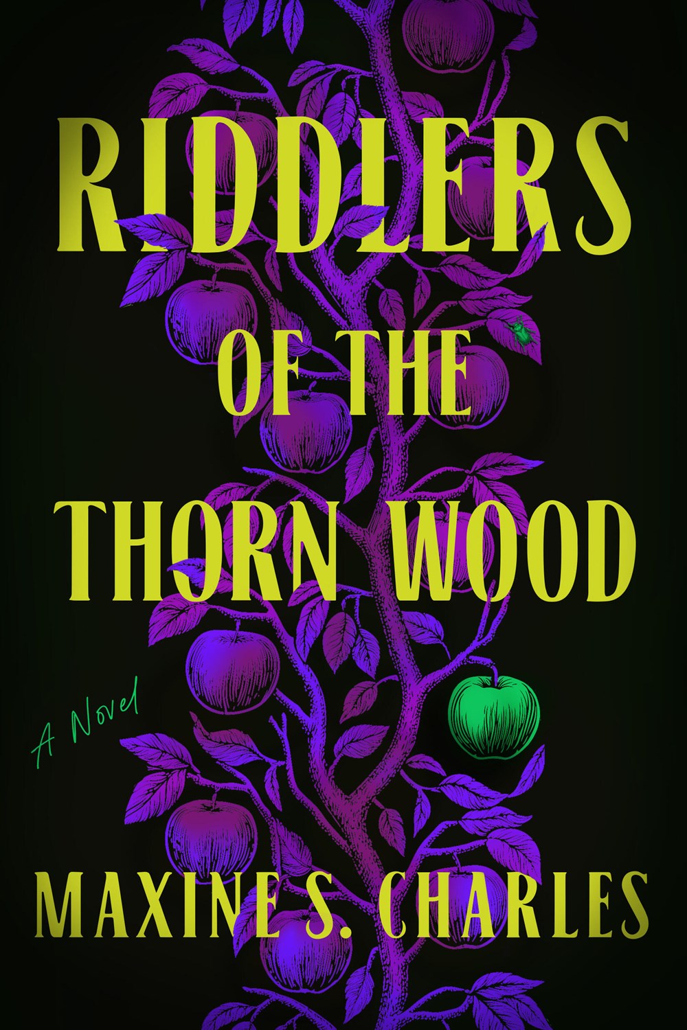 Riddlers of the Thorn Wood (Preorder - 3/2/27)