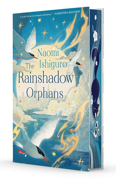 The Rainshadow Orphans (Rainshadow #1)