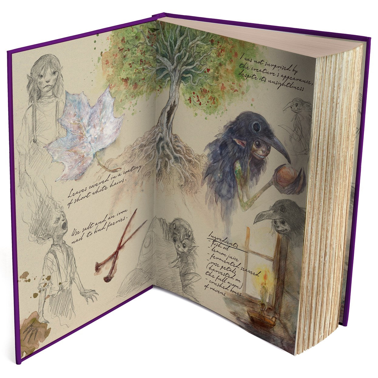 Emily Wilde's Encyclopaedia of Faeries (Deluxe Edition) [Preorder- 9/29/26]