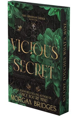 Vicious Secret (The Obsidian Order #1)