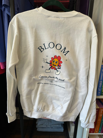 Merch Story Sale