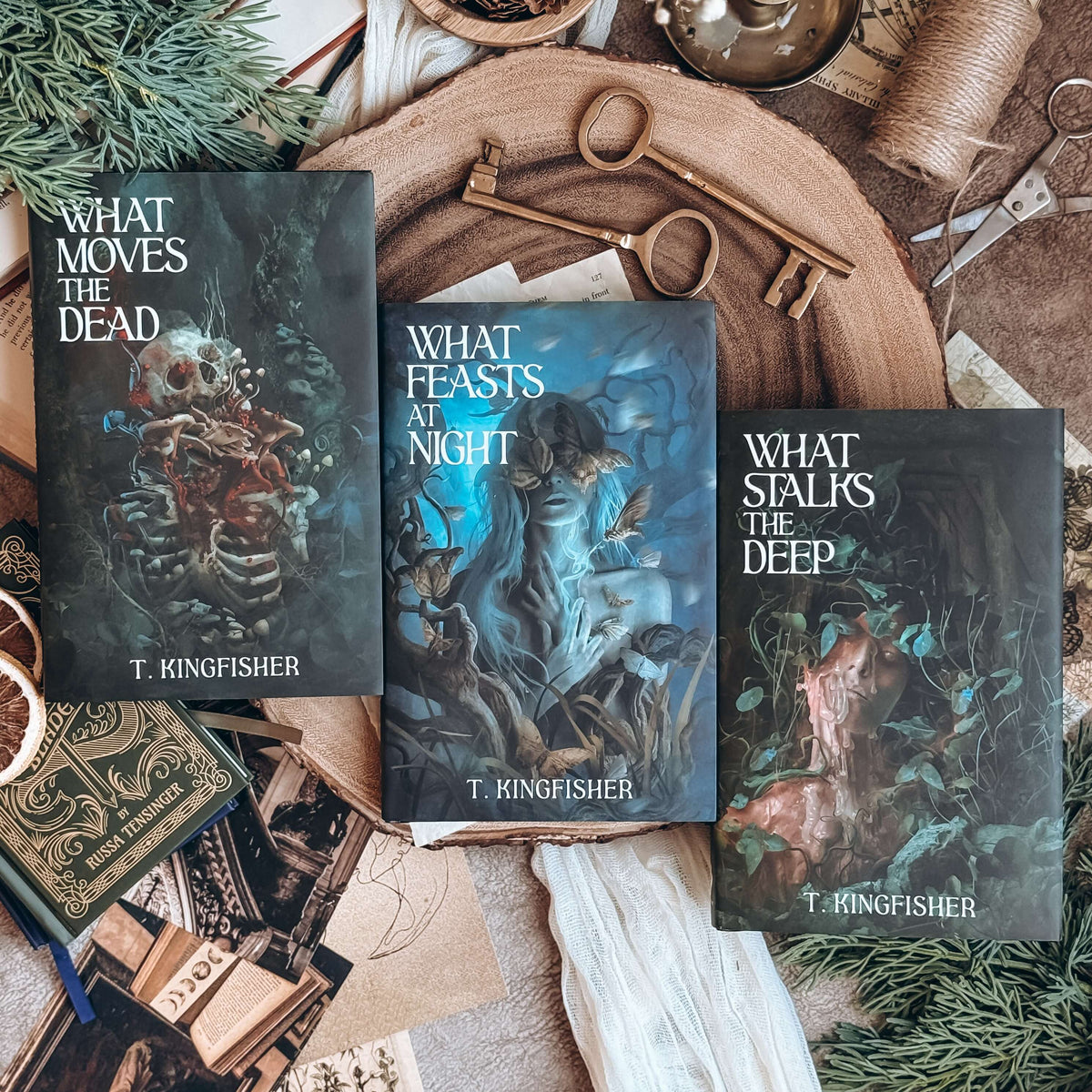 What Feasts at Night (OwlCrate Original Edition)
